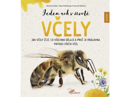 Jeden rok v zivote vcely - Jak vcely ziji