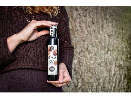 chaga