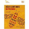 Vcely a jiny hmyz na pozemku