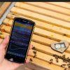 Ulovy snimac Bee Heart - D
