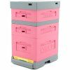 Ul Dadant Blatt s varroa dnem - lakovany (ruzovy) 10 r - C