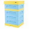 Ul Dadant Blatt 1/2 s dnem Varroa Lyson 10 R