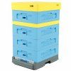 Ul Dadant Blatt ½ s vysokym plastovym dnem Varroa, lakovany 10 R - C