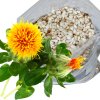 Svetlice barvirska saflor - 0,5 kg - B